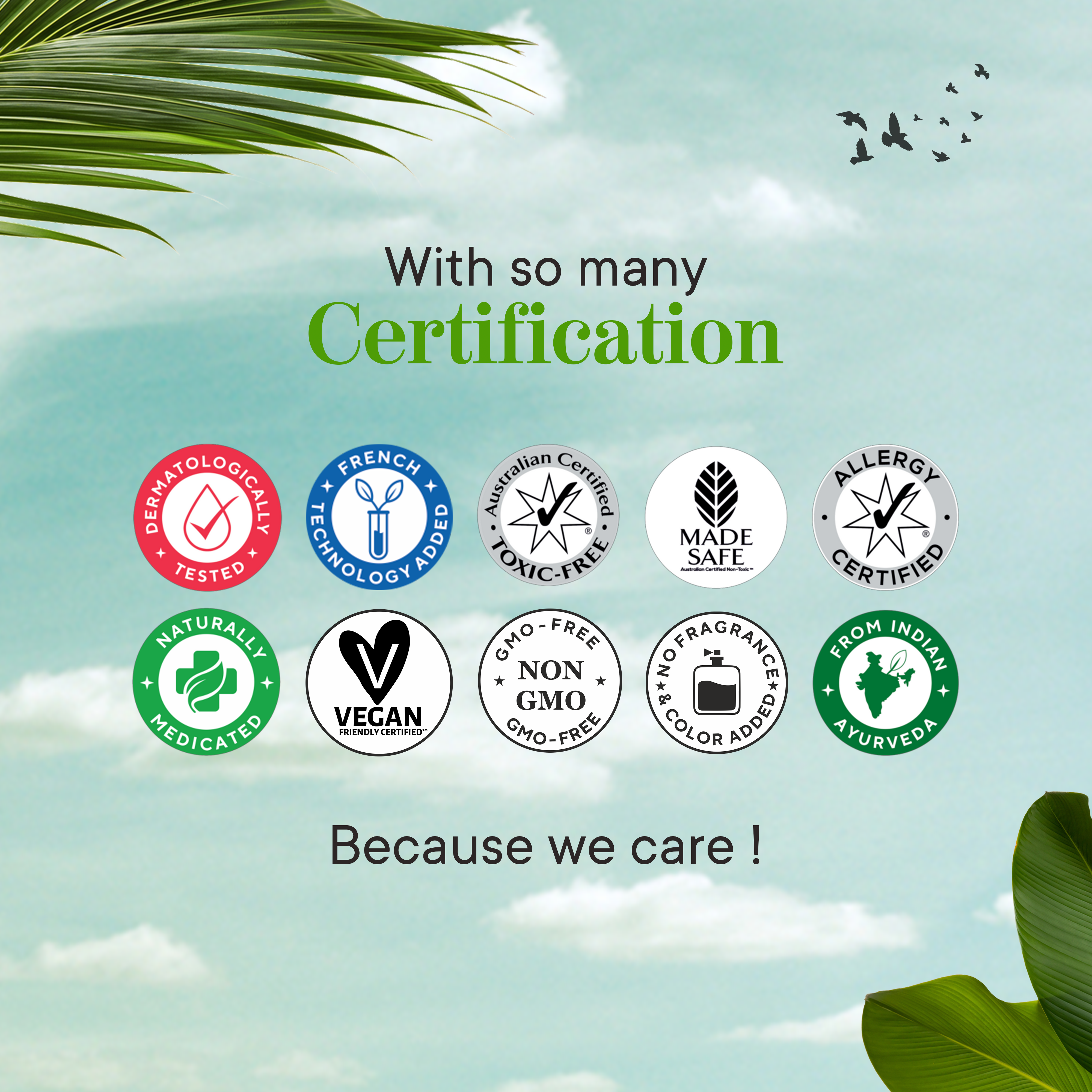 Scalp Harmony Concentrated Oil  Certificates