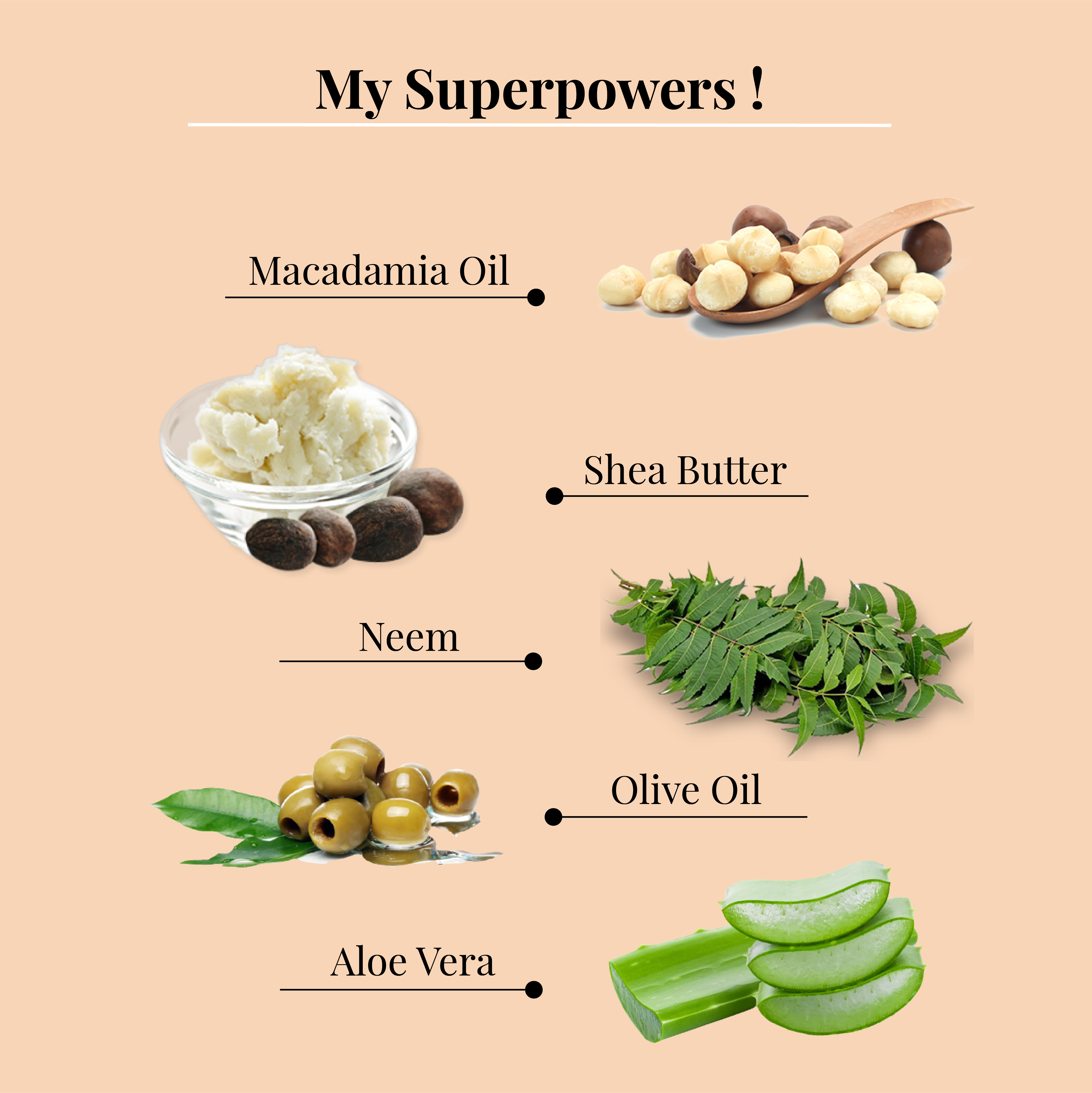 Macadamia Oil & Shea Butter Deep Conditioning Shampoo - LAFAYRE