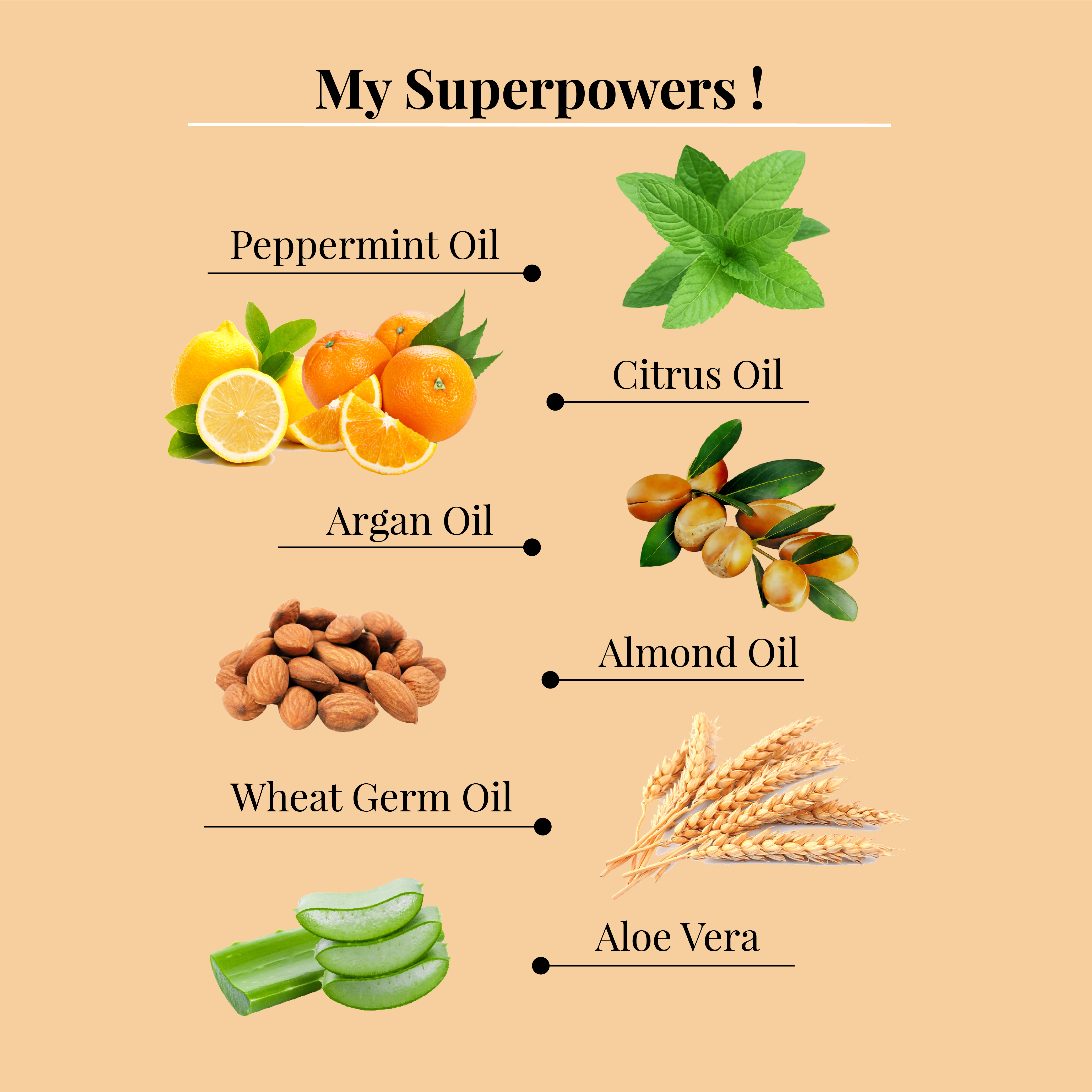 Peppermint & Citrus Oil Hair Renewal Conditioner - LAFAYRE