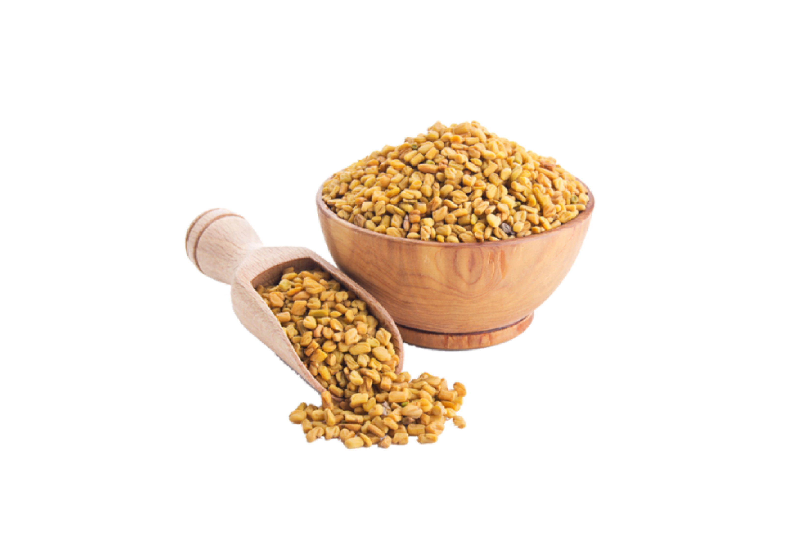 Fenugreek Extract