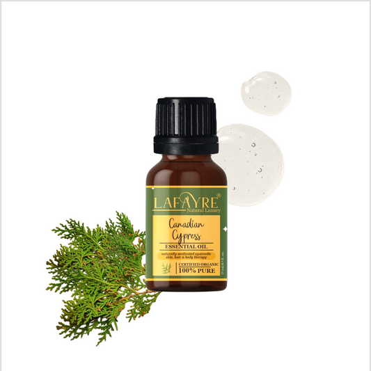 Canadian Cypress Essential Oil