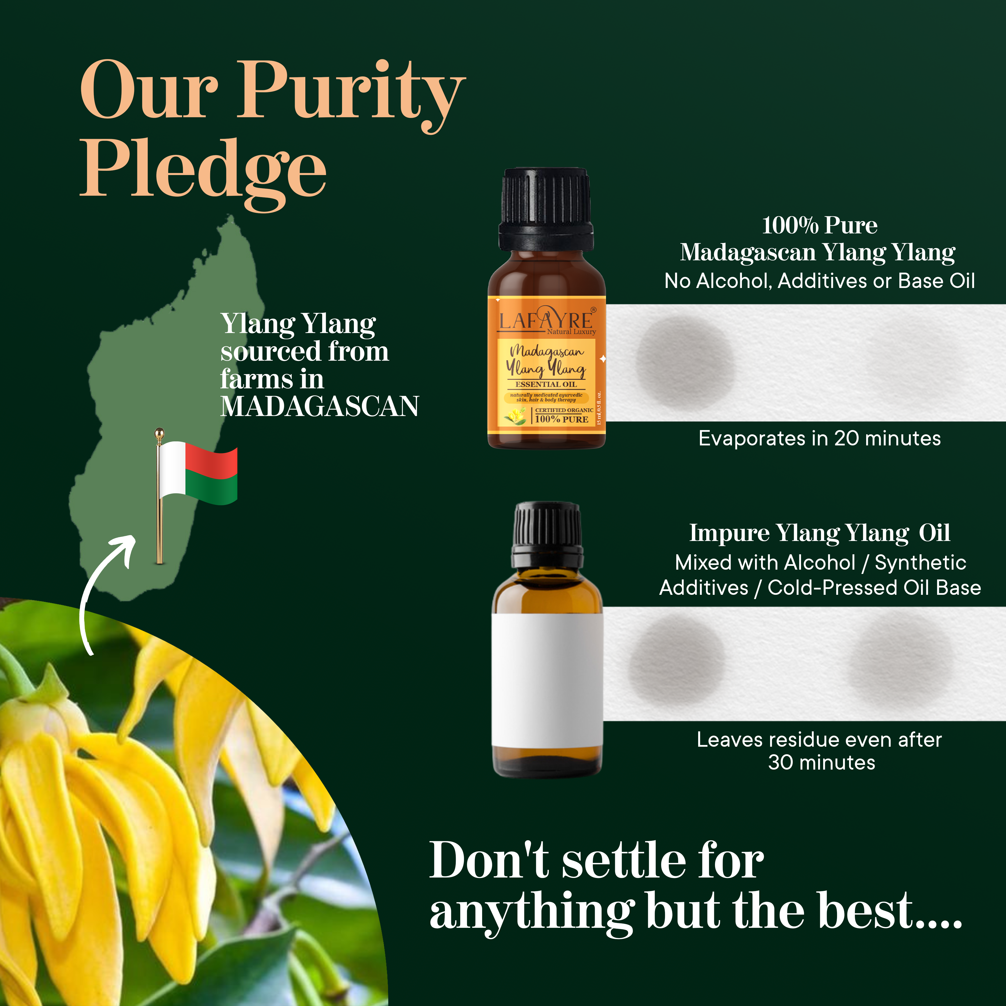 Madagascan Ylang Ylang Essential Oil Pledge