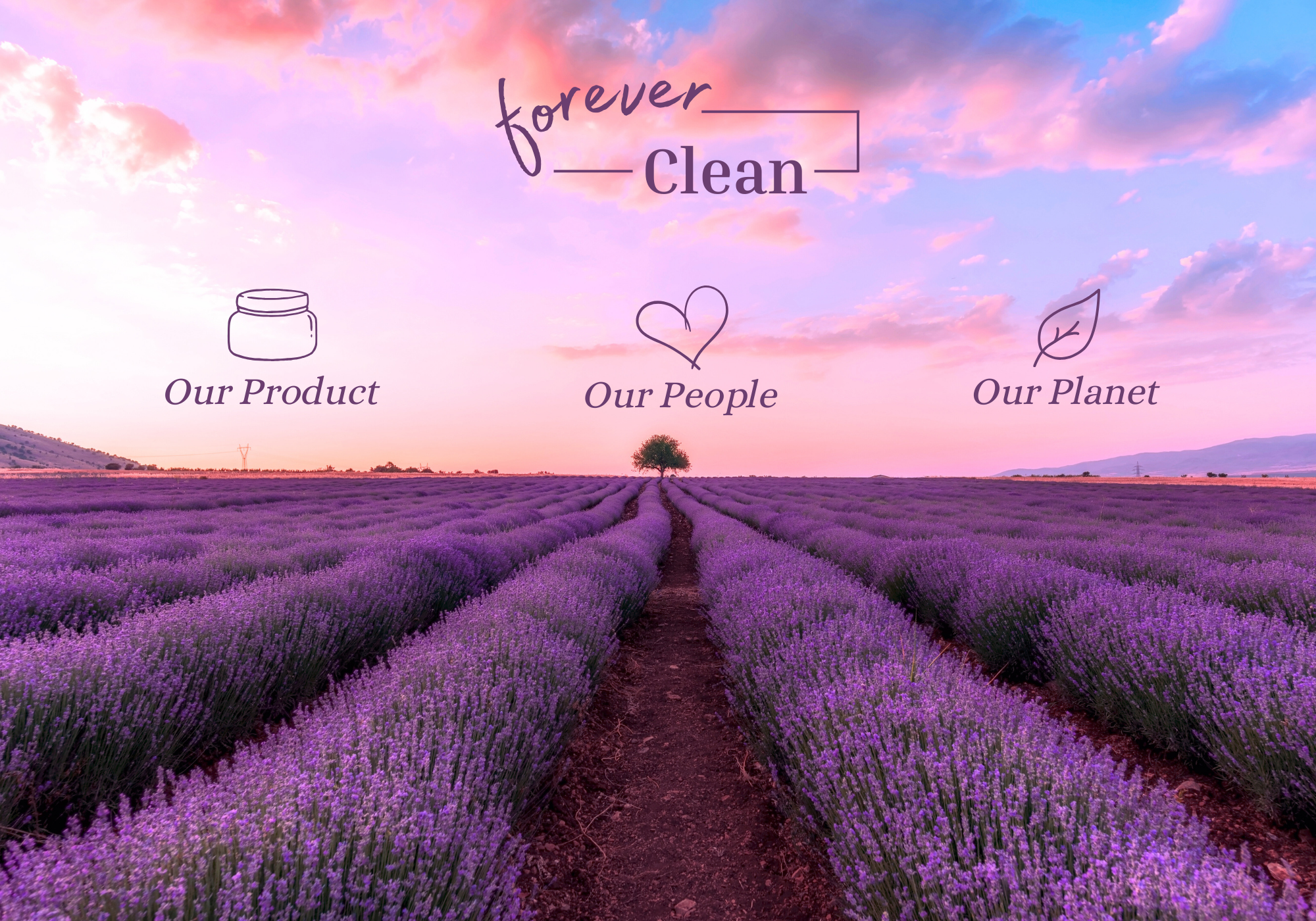 a field of lavender with a path and a tree with heading forever clean and three sub-headings: Our product, our people and our planet